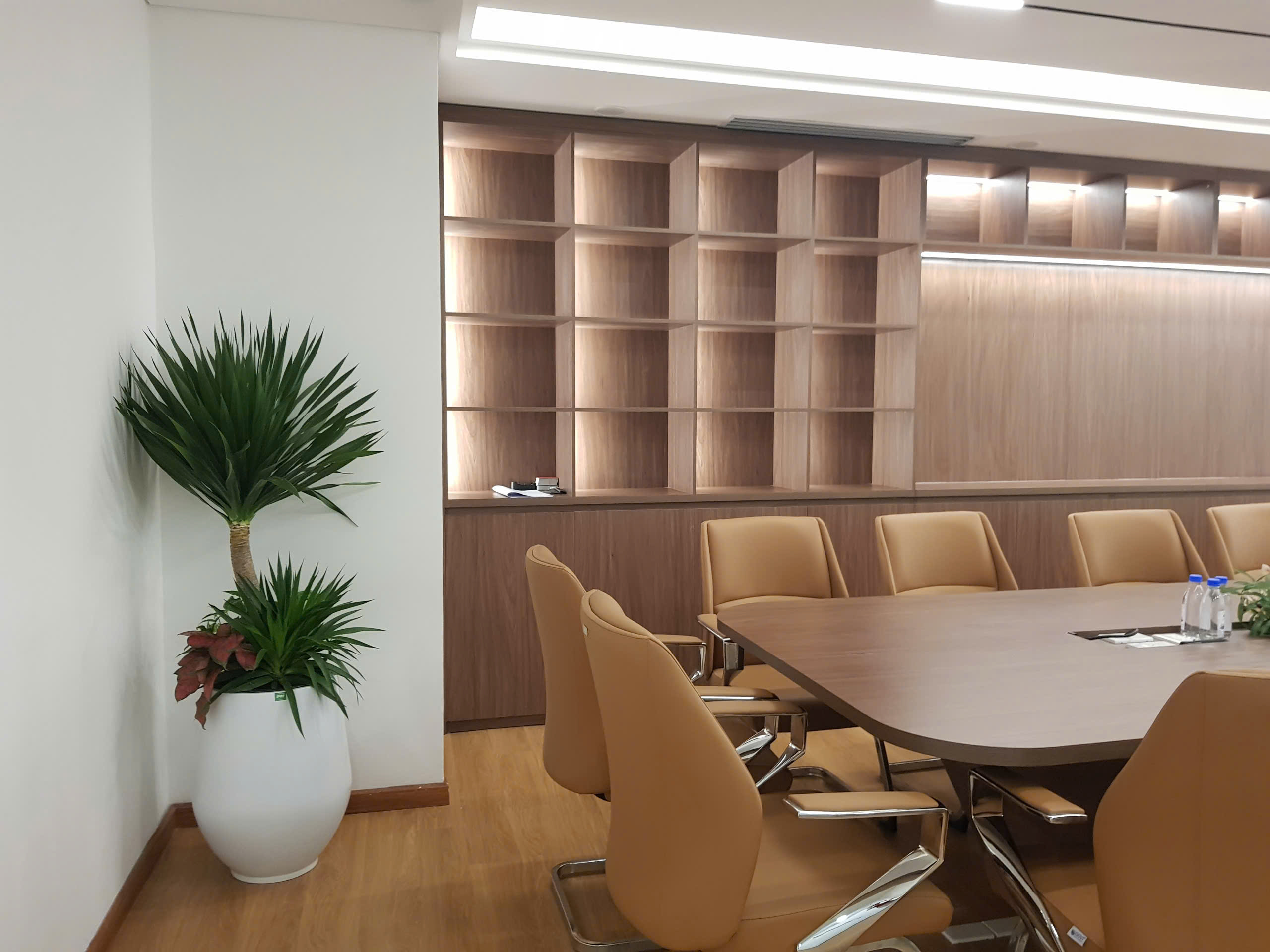 CÂY XANH VĂN PHÒNG PHÚ THÀNH HOLDINGS