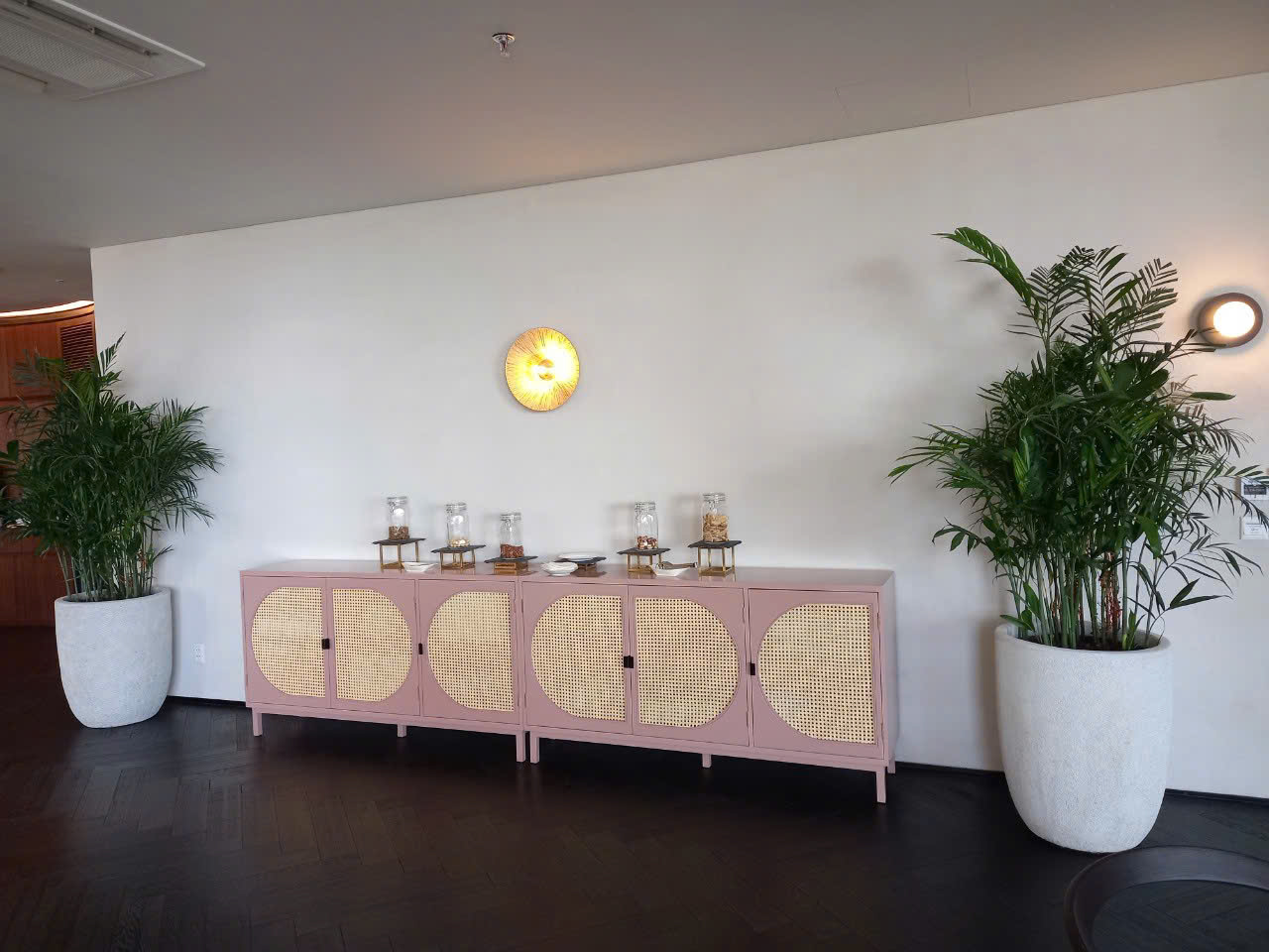 CÂY XANH VĂN PHÒNG AIA