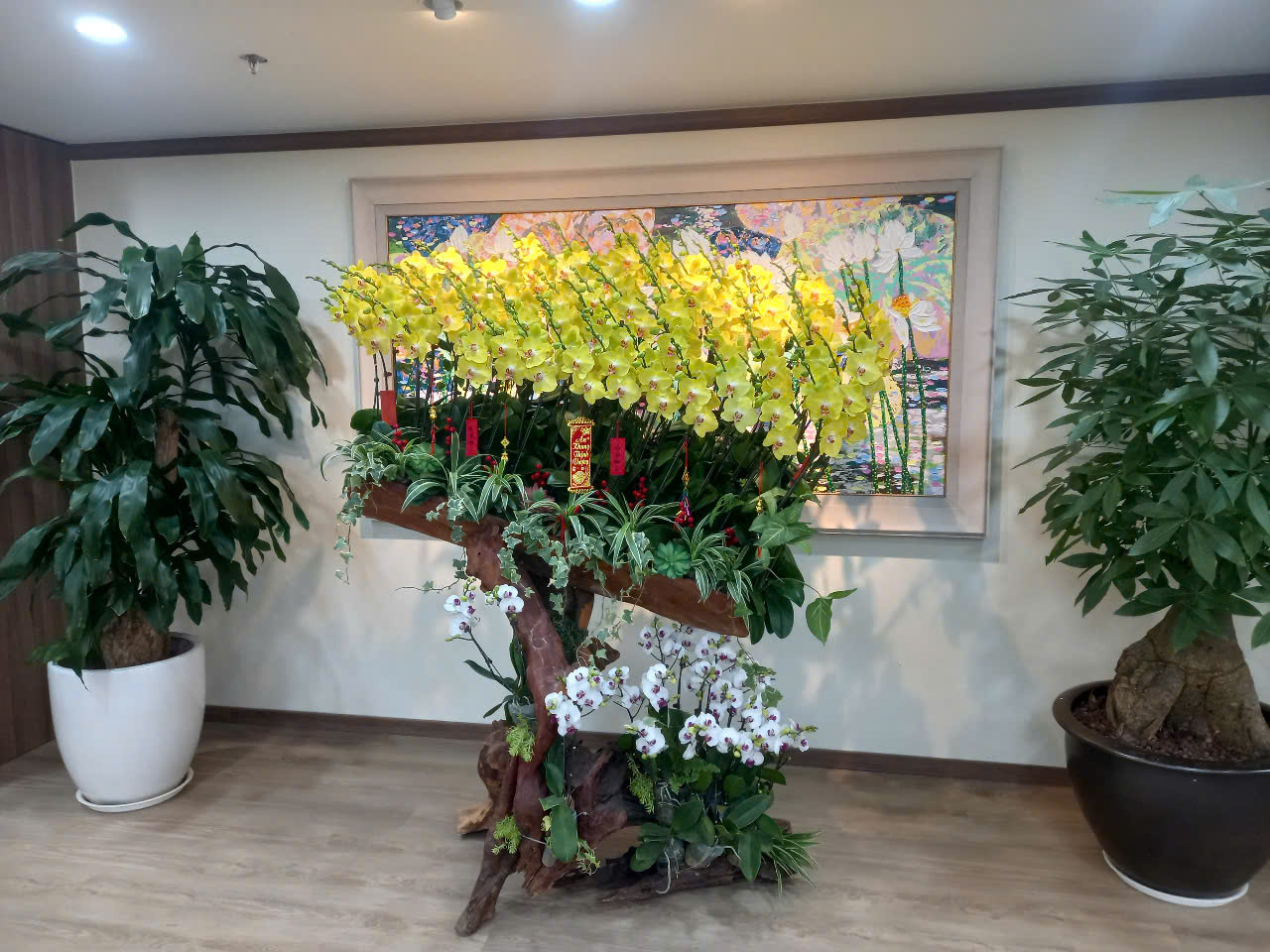 CÂY XANH VĂN PHÒNG BIDV HÀNG TRE