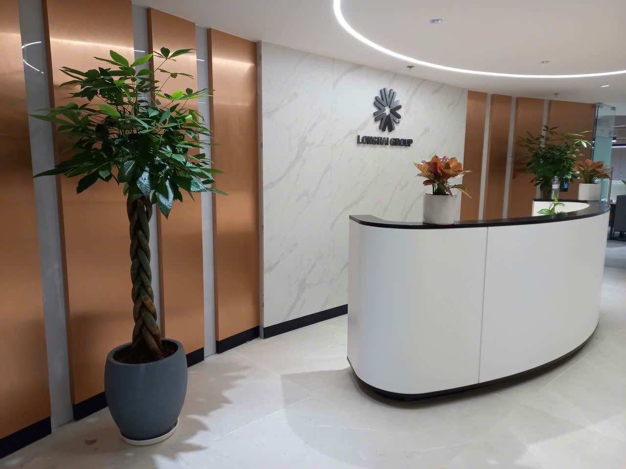 CÂY XANH VĂN PHÒNG LONG HẢI