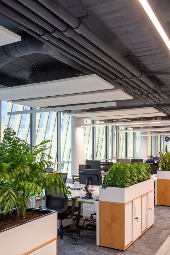 Thuê cây cảnh Hà Nội: Xu hướng tối ưu chi phí cho doanh nghiệp