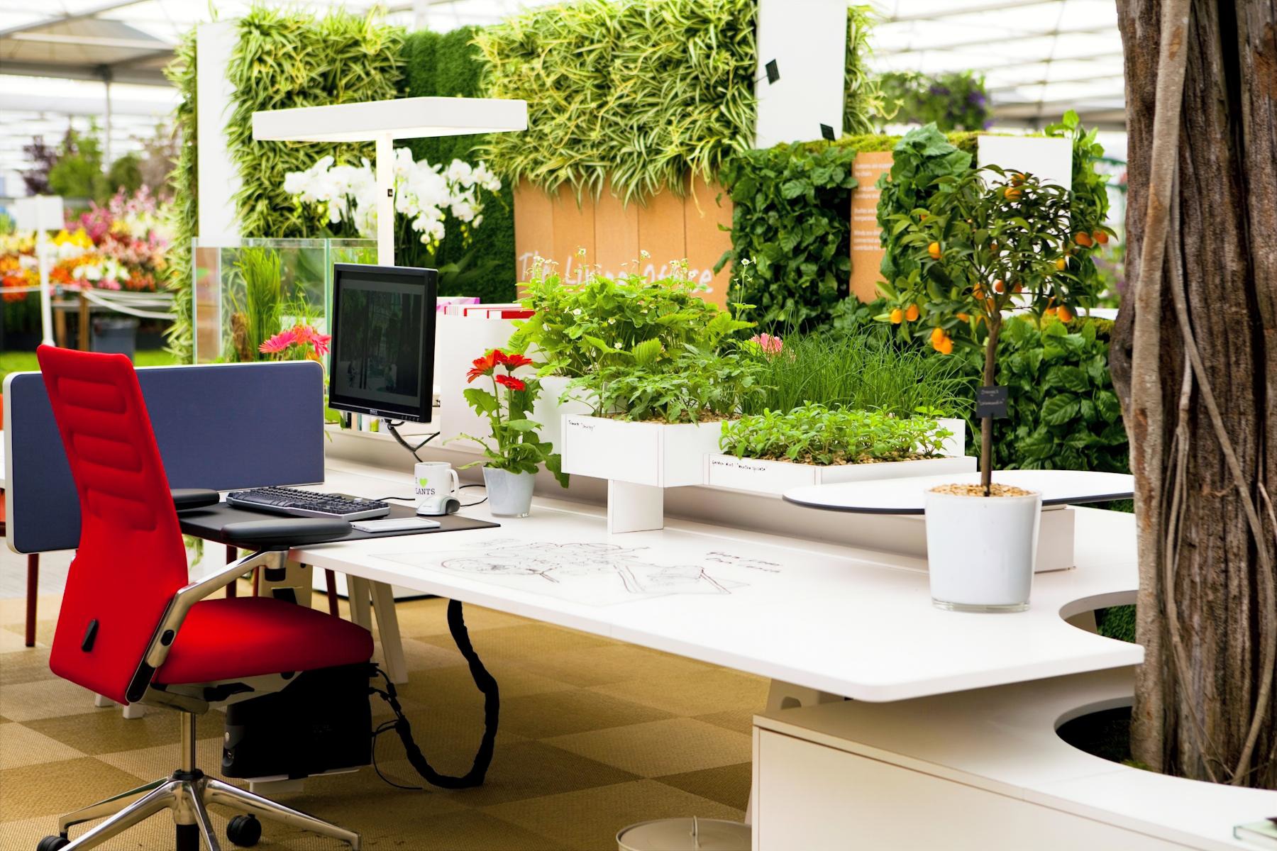 Nhà - Văn Phòng Làm Việc Của Bạn Ngột Ngạt Vì Thiếu Cây Xanh